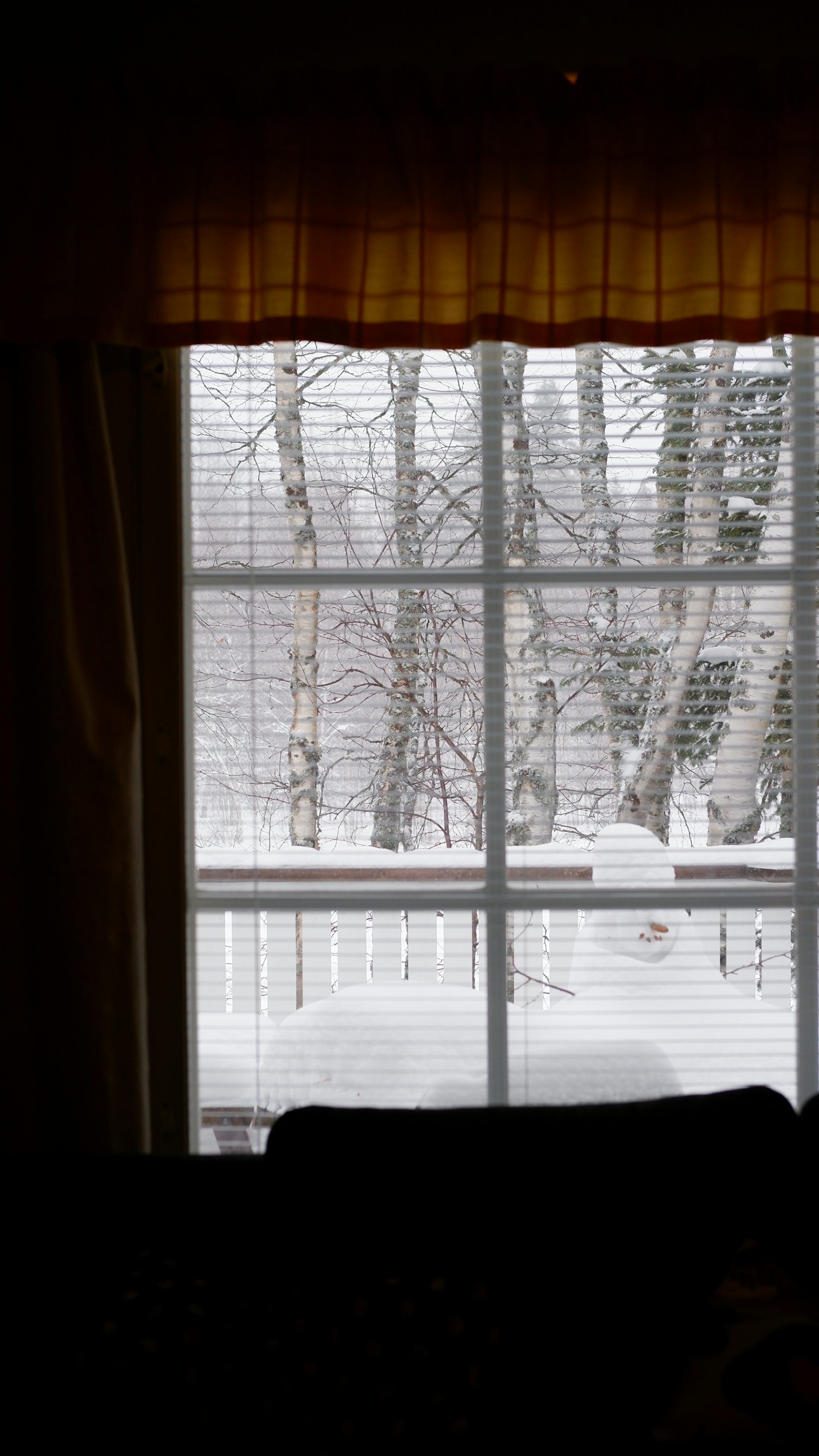 Winter Storm